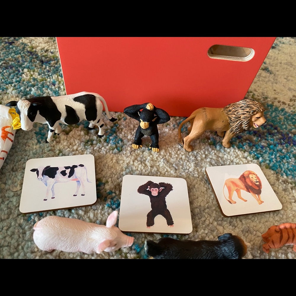 Lovevery bundle animal match and count/ring chute - Picture 4 of 7